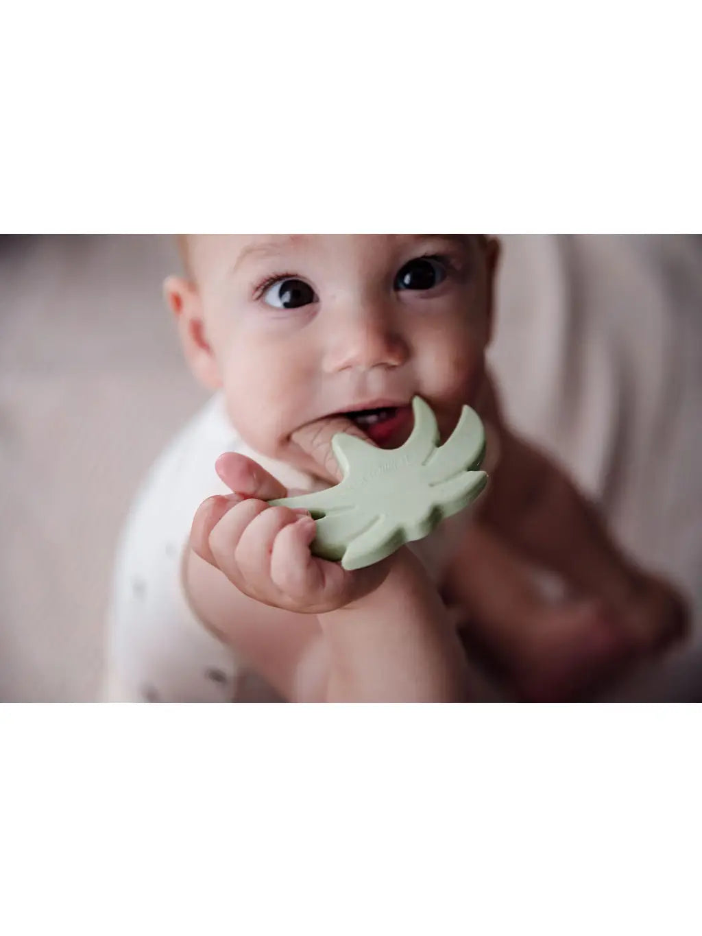 Silicone teether - sage palm tree